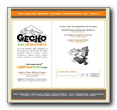 Gecko Web Development - We have several plans designed to make your move to the web affordable and hassle free. We provide you with a complete solution including domain registration, website design and website hosting. Our team consists of a professional group of dedicated individuals that are committed to providing our customers with quality products and services, whilst maintaining an outstanding level of customer service.